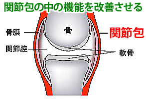 関節包の中の機能を改善させる。