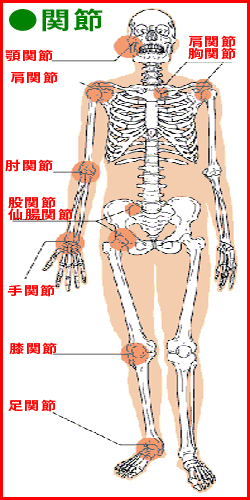 すべての関節